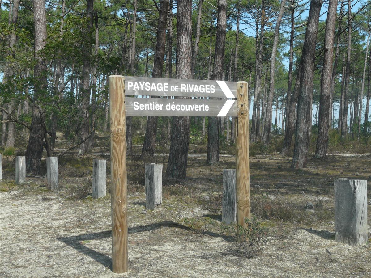 Paysage de rivages - photo 4