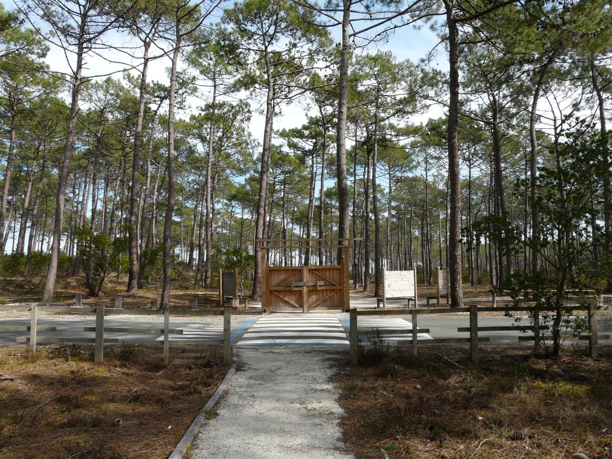 Paysage de rivages - photo 5