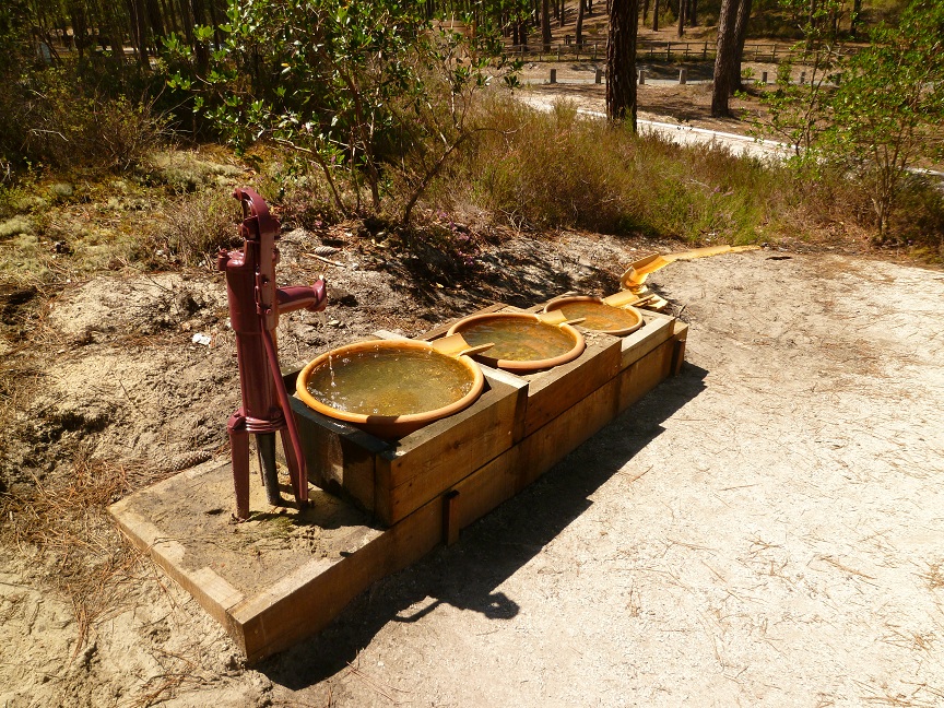 Paysage de rivages, Carcans - photo 5