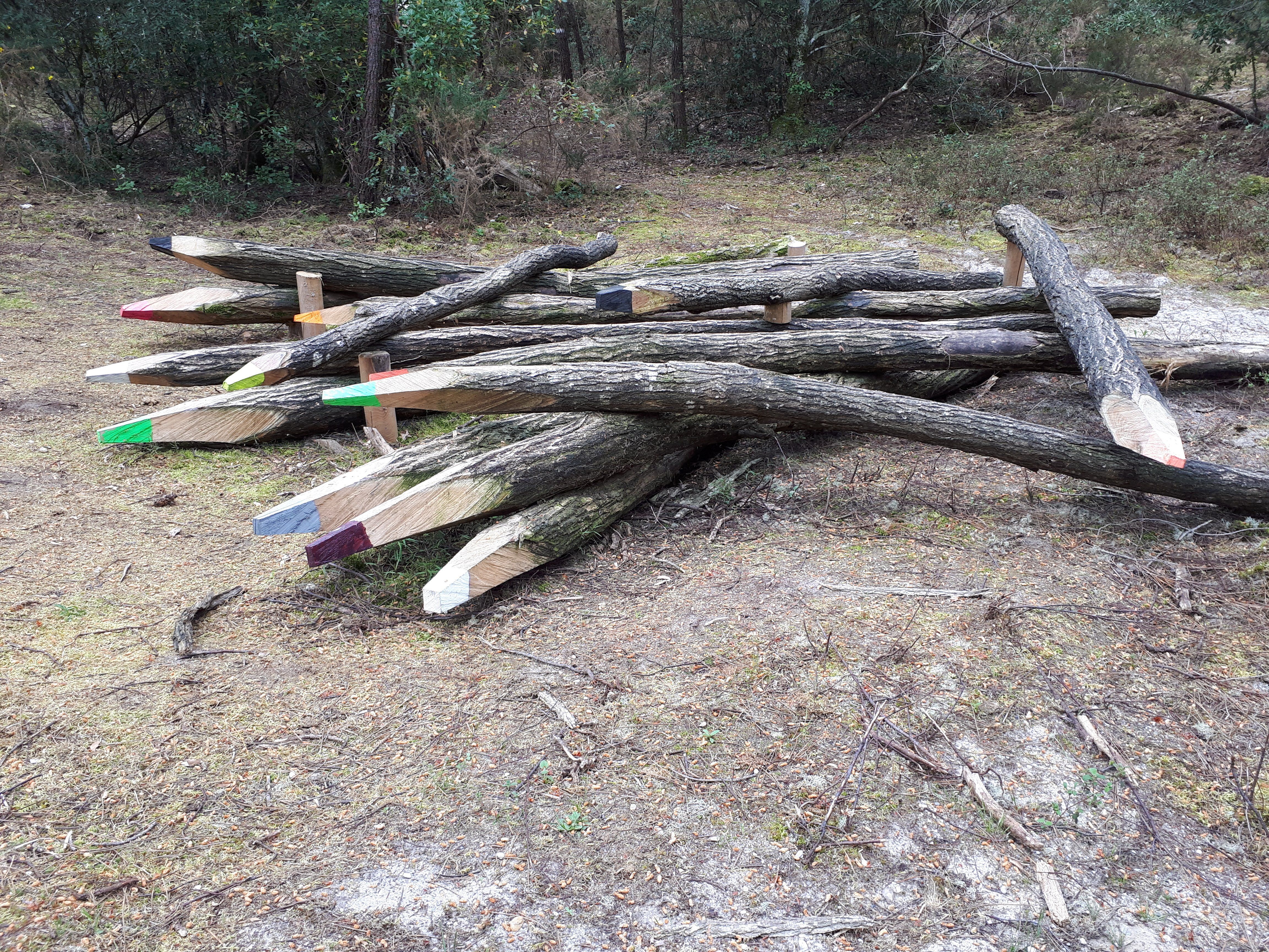 Le sentier du Lac à Maubuisson - photo 5