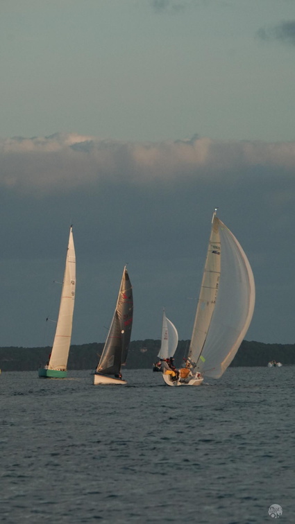 Voile