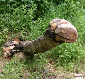 Dominique Perez - Parc des Doublorigènes