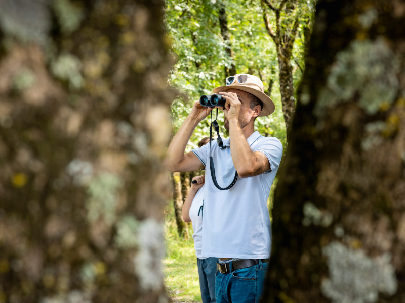 Samedi ornitho à Terres d'Oiseaux, Braud-et-Saint-Louis - photo 11