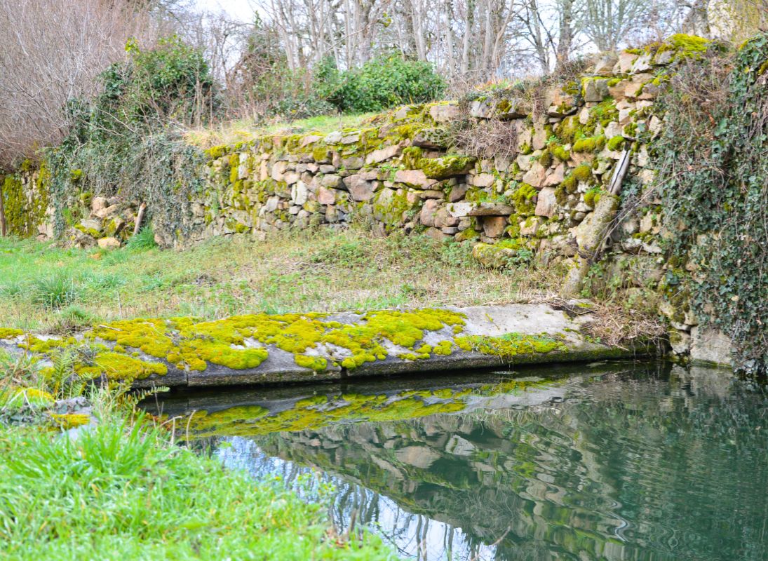 Circuit des fontaines et des étangs, Flavignac - photo 7