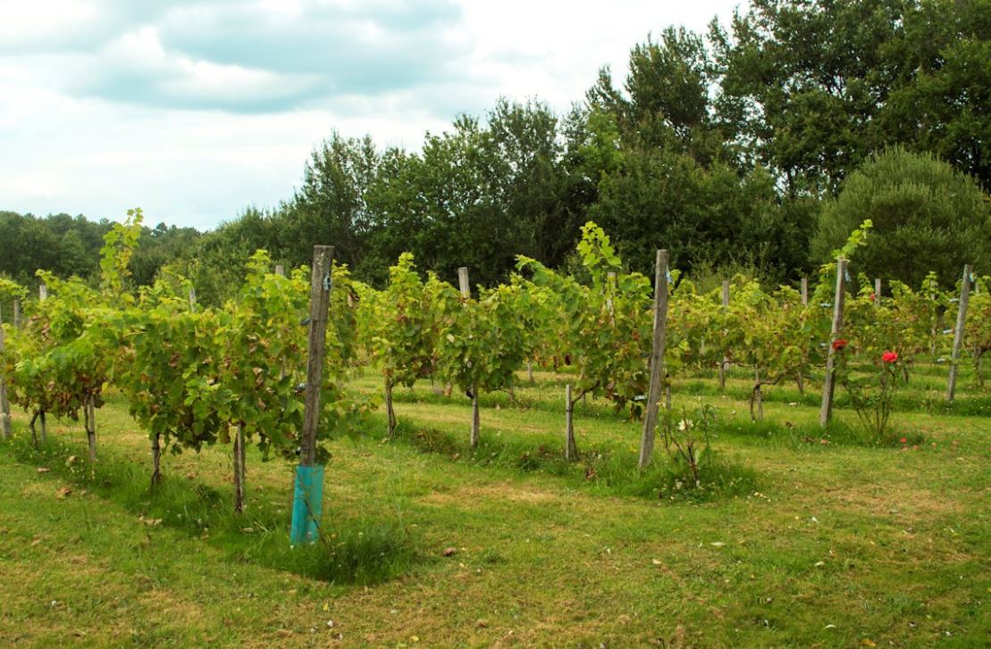 Gîte Mille et une nuit, Monfaucon - photo 2