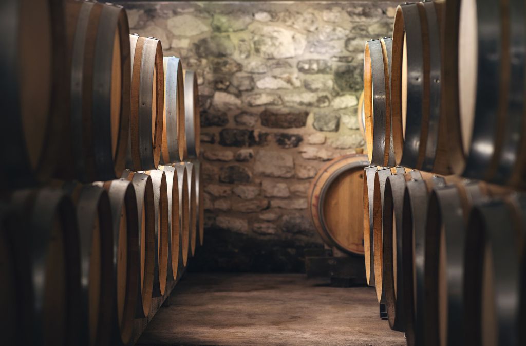 Visite pédagogique & dégustation gourmande | Domaine Grange Neuve, Pomport