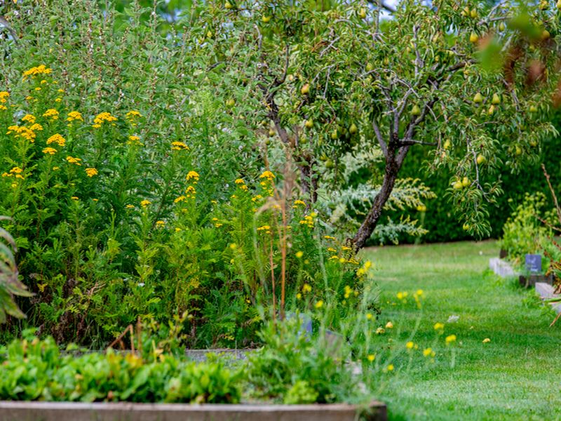 Parc du Château de Vayres, Vayres - photo 7