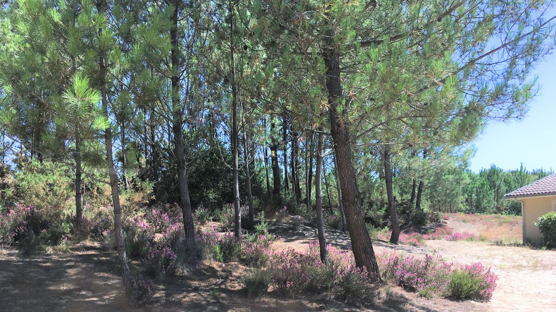 Hôtel Au P'tit Creux des Landes, Ychoux - photo 8