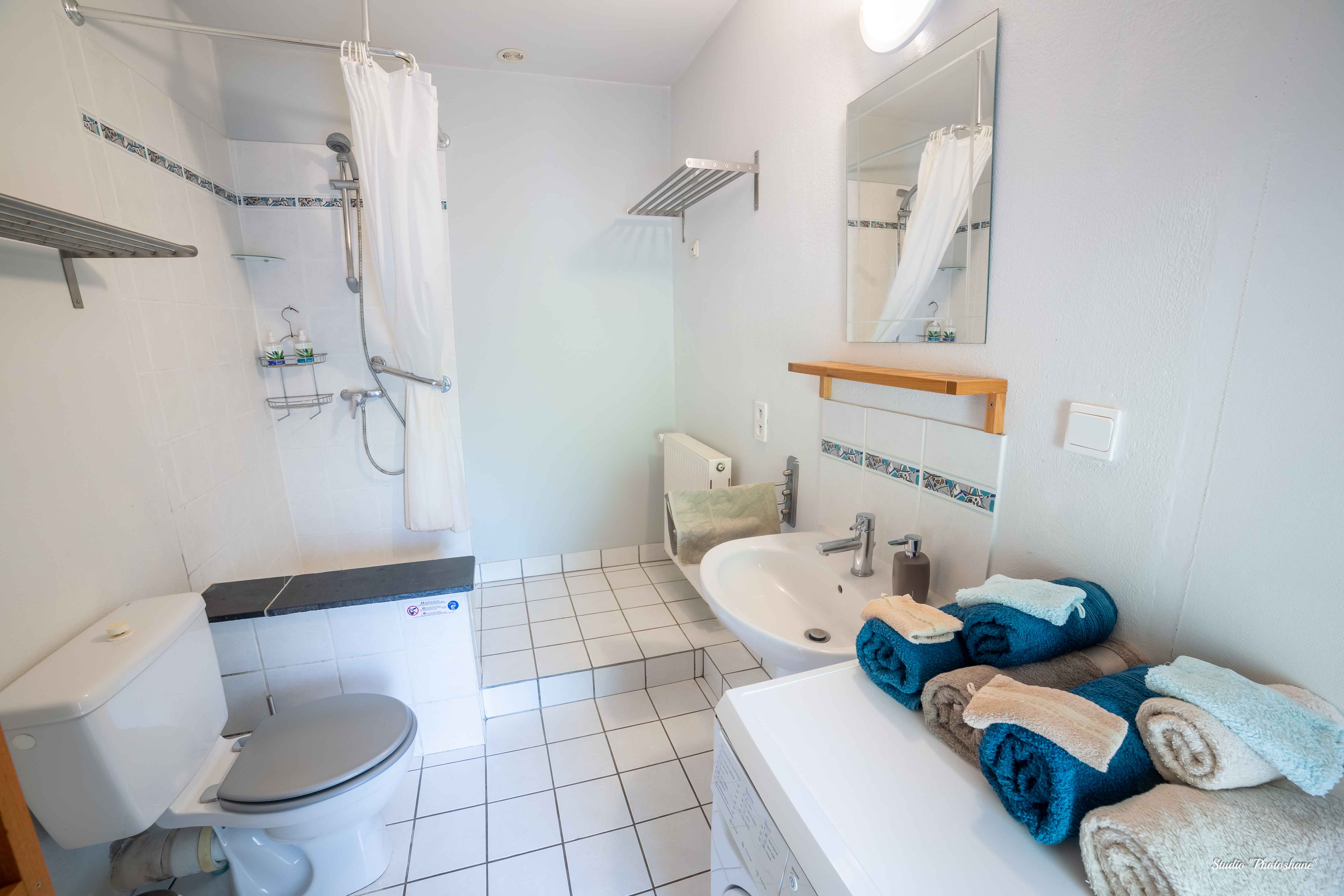 Domaine Jean Got - Le Moulin, Lugaignac - photo 9