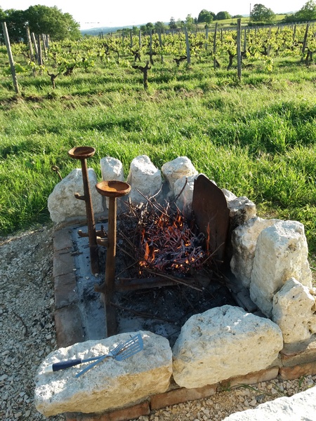 Les Terres Blanches - photo 2