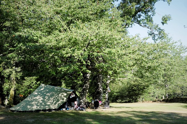 Camping P & B, Goulles - photo 7