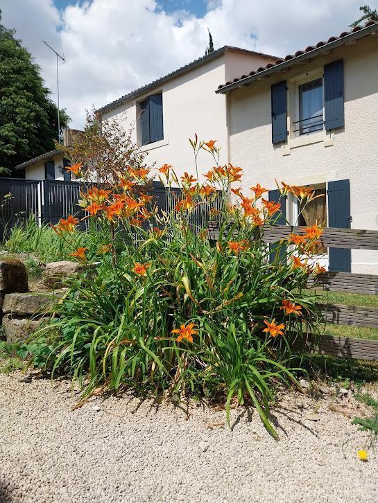 Les Lys (G 747), Chauray - photo 8