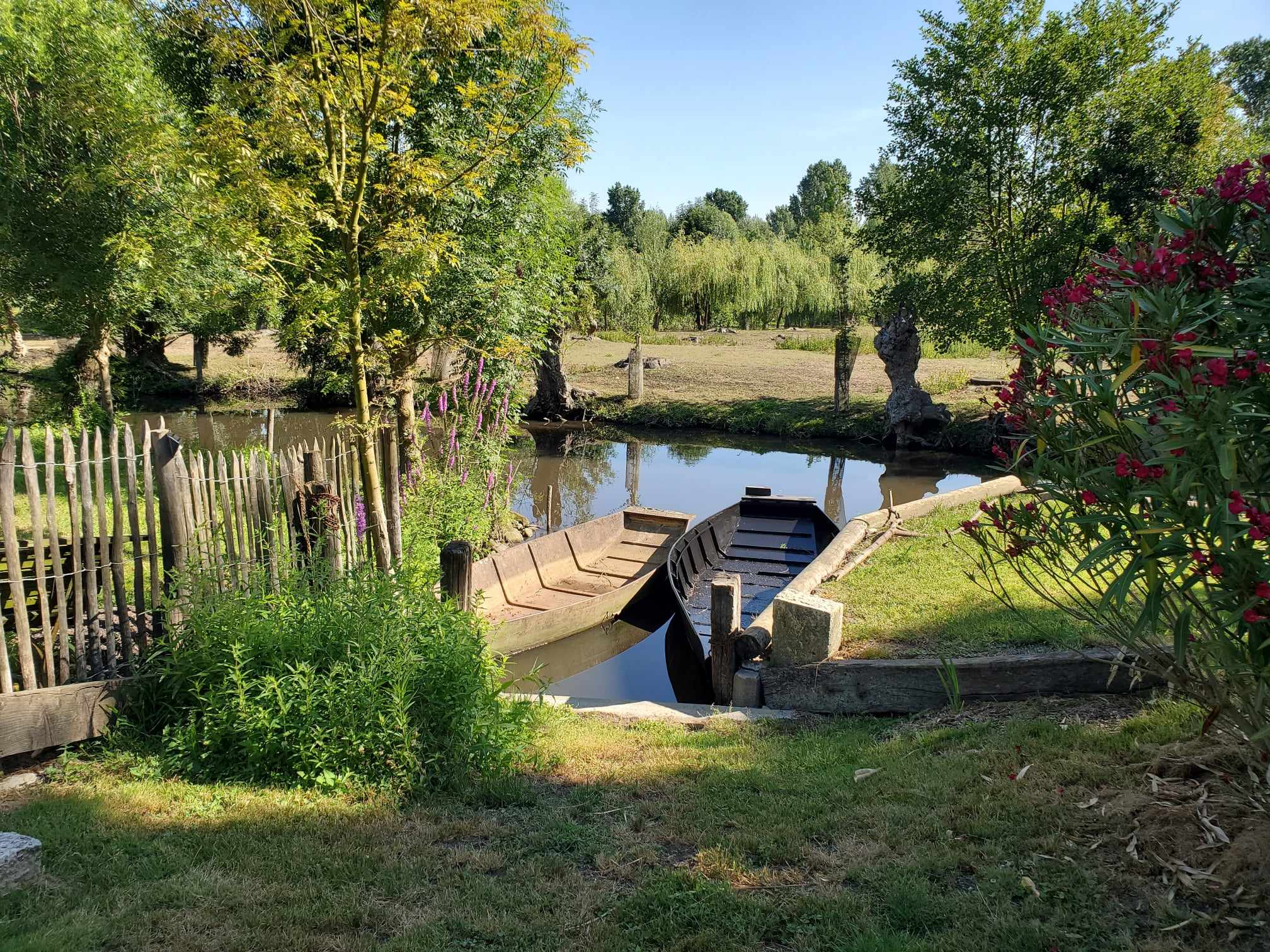 La libellule, Le Vanneau-Irleau - photo 6