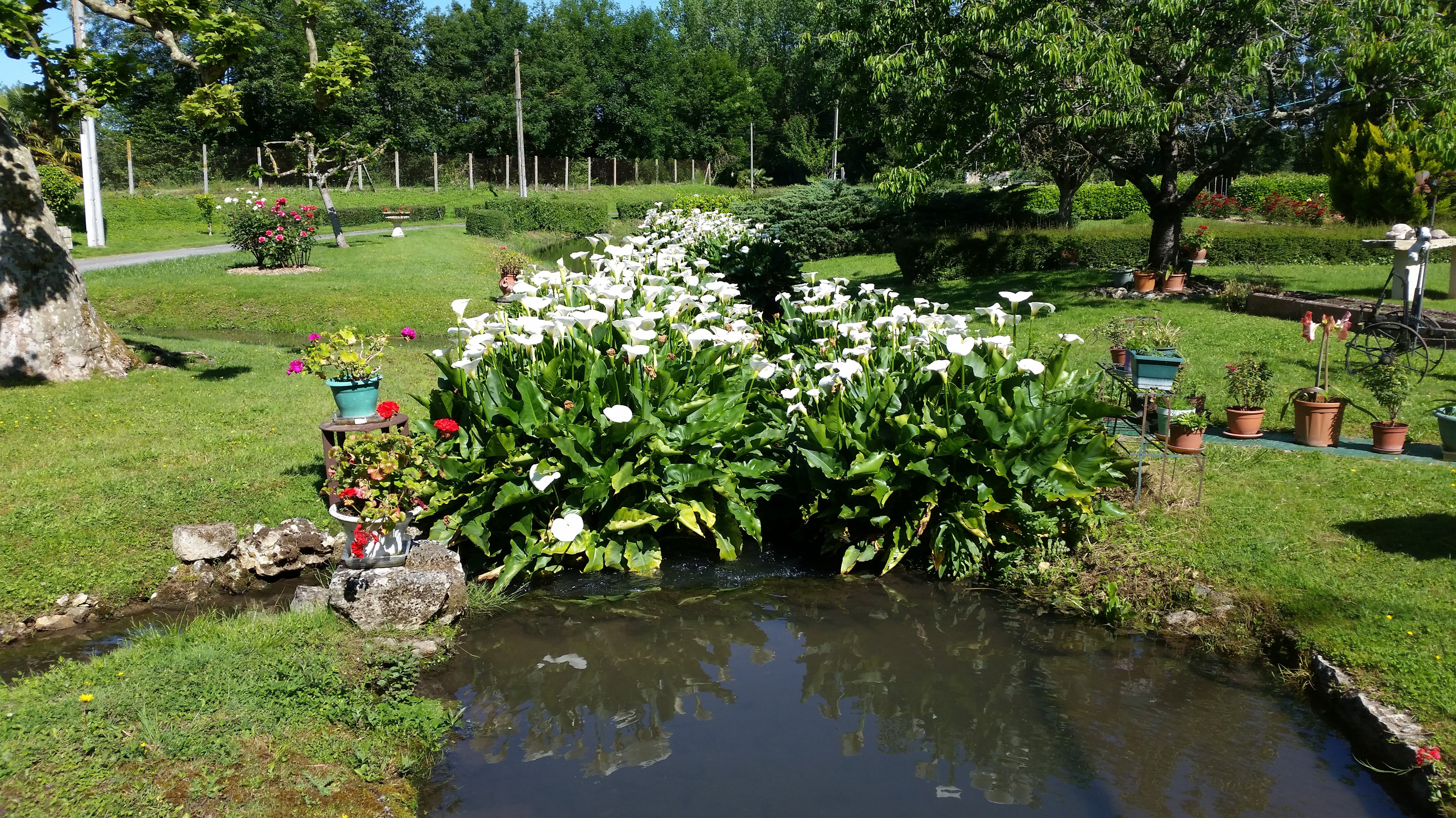 Le moulin de l'Étang, Sainte-Eanne - photo 13