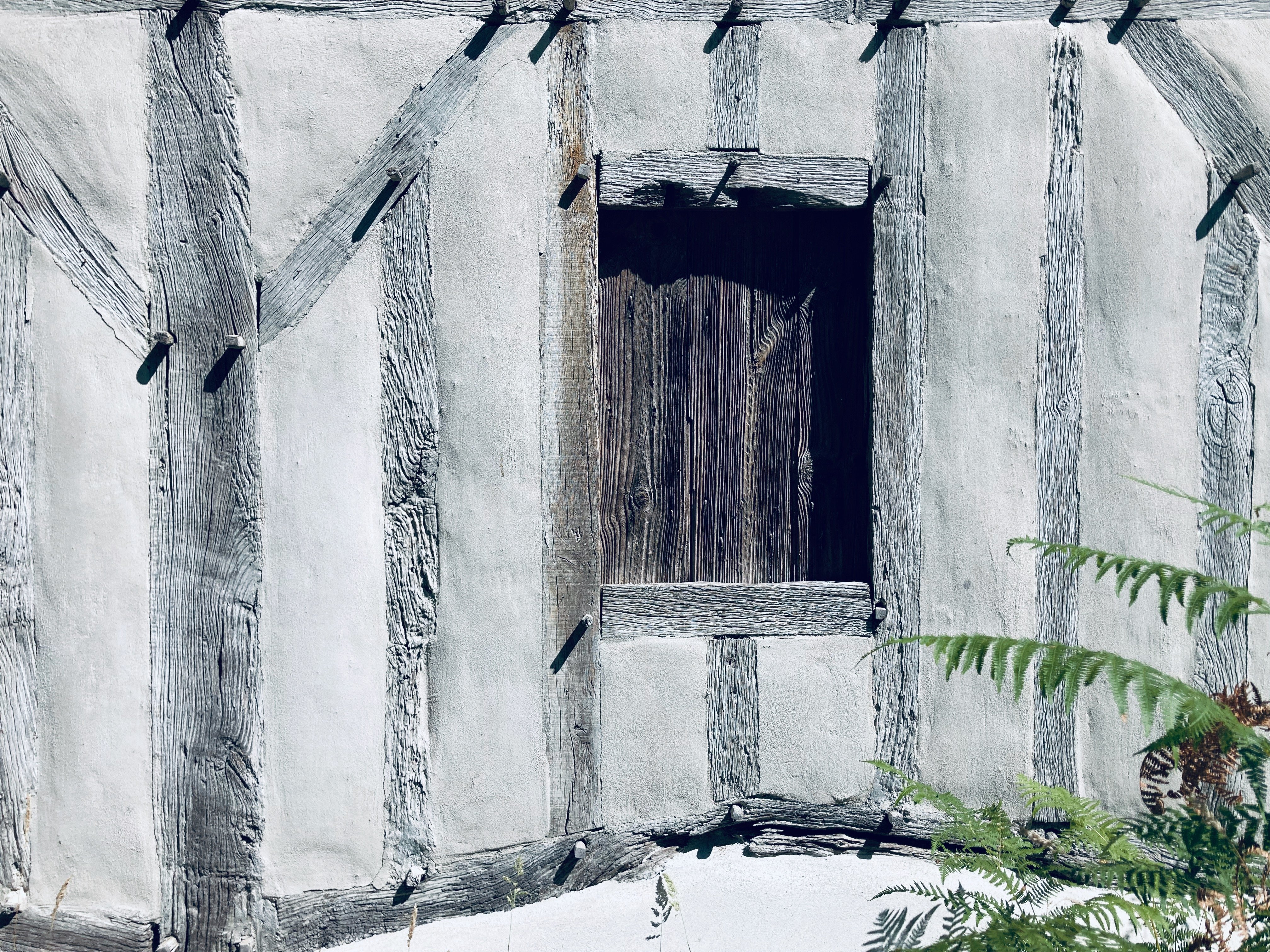 Conservatoire des Landes de Gascogne, Sanguinet - photo 8