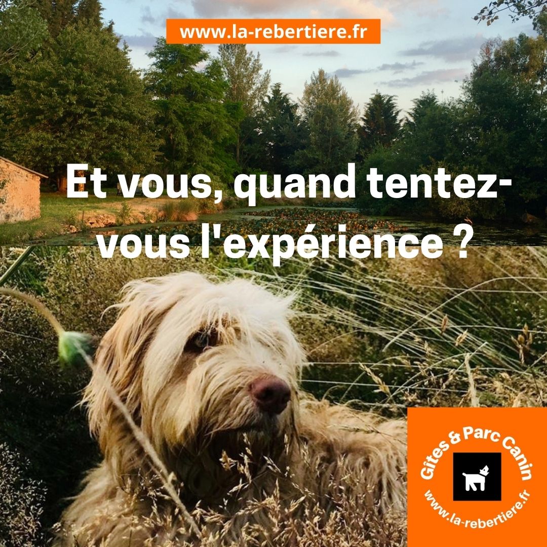 Gîte TiBarny du Parc Canin de la Rebertière, Queaux - photo 7