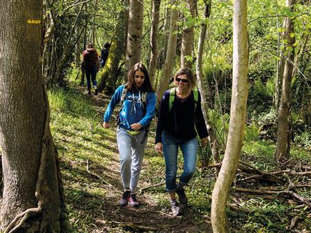 Ouillon : chemin des bergers Ouillon : chemin des bergers