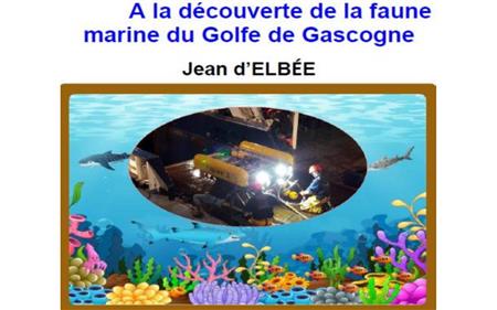 Conférence de l'Université du Temps Libre : A la découverte de la faune marine du Golfe de Gascogne Conférence de l'Université du Temps Libre : A la découverte de la faune marine du Golfe de Gascogne
