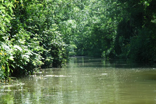 Embarcadère "La Pigouille", Coulon - photo 11