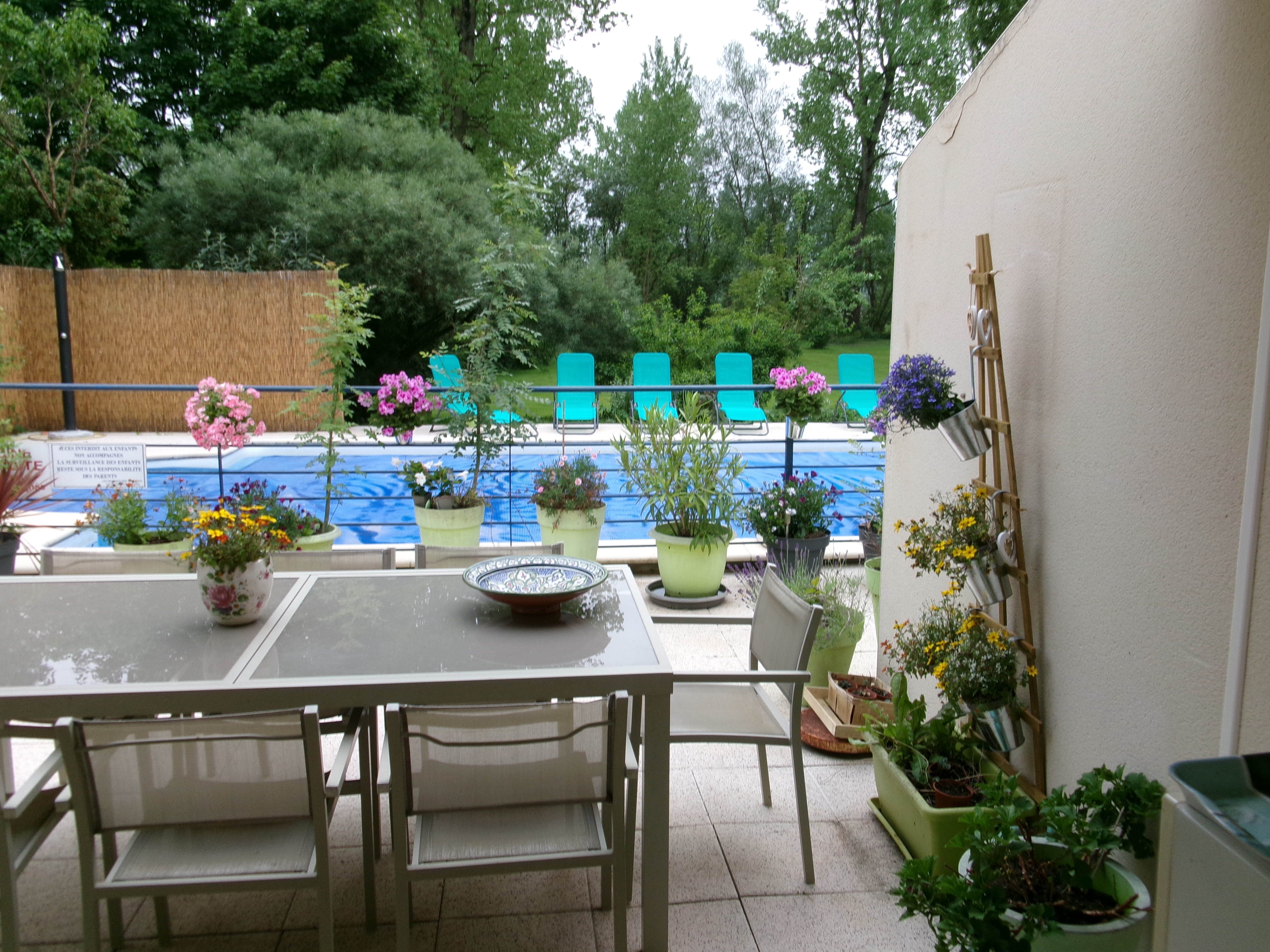 Les Roseaux, Coulon - photo 14