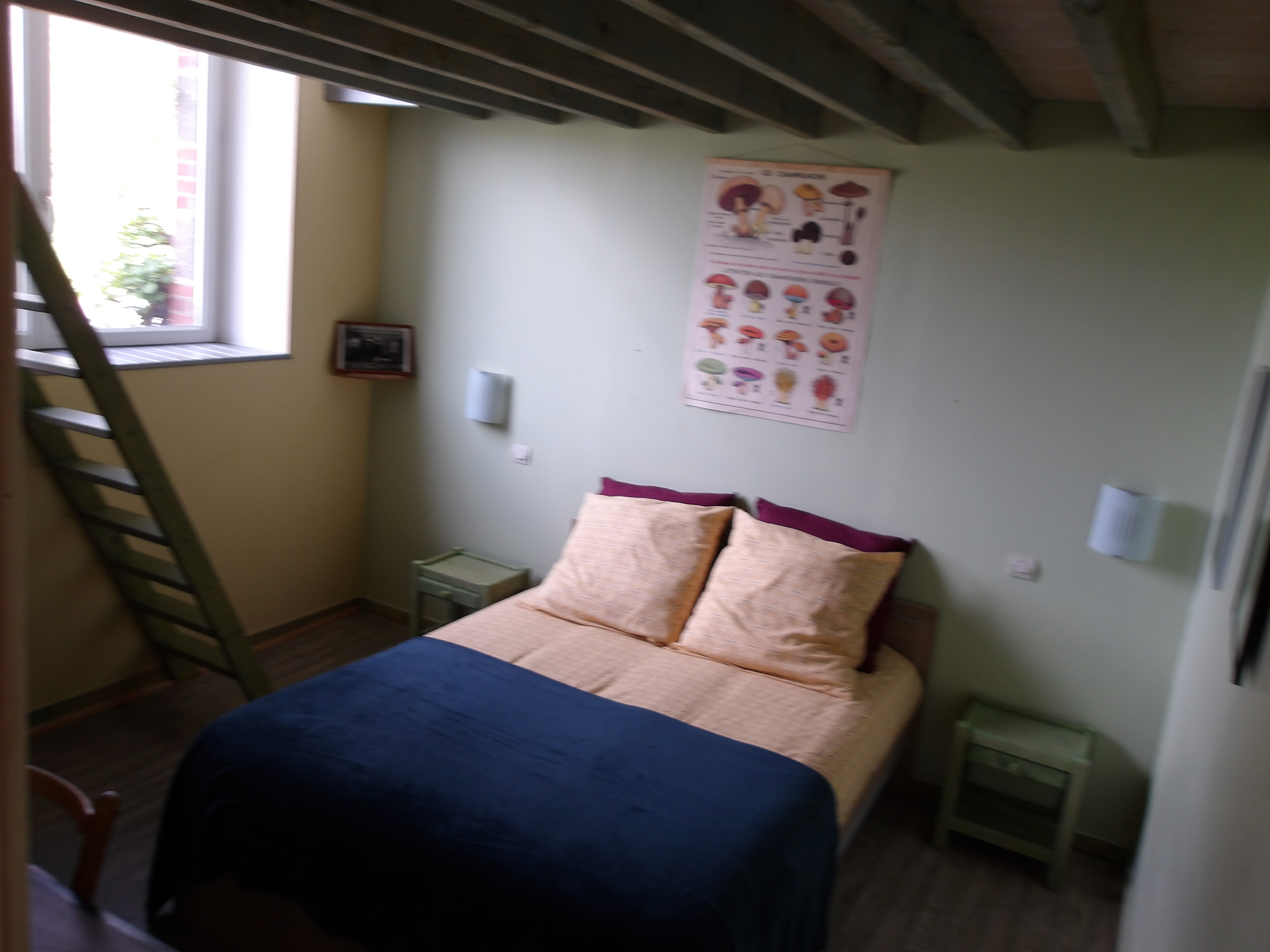 L'école buissonnière, La Celle-Dunoise - photo 12