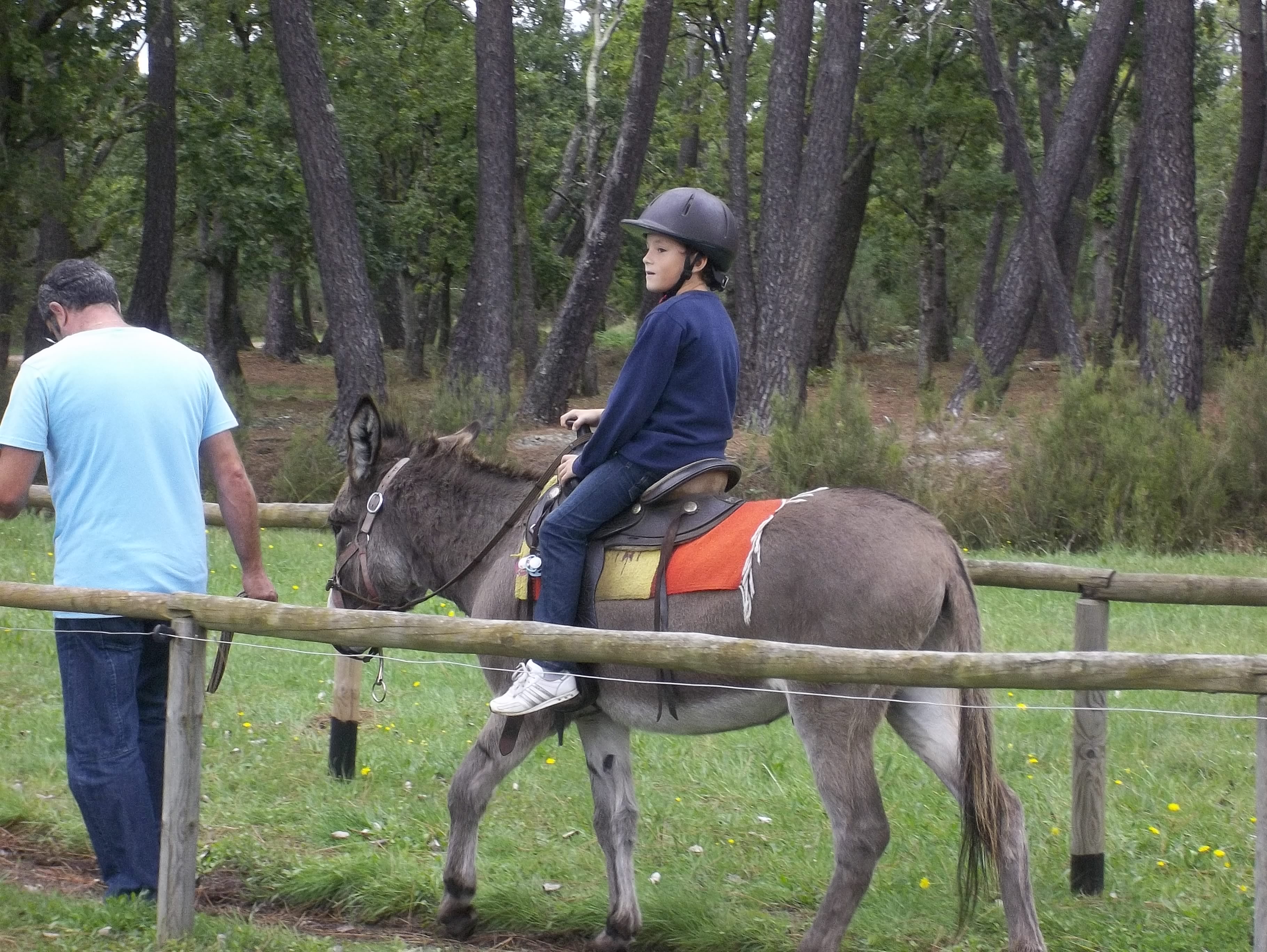 Cabriol'Ane : Balades à dos d'âne