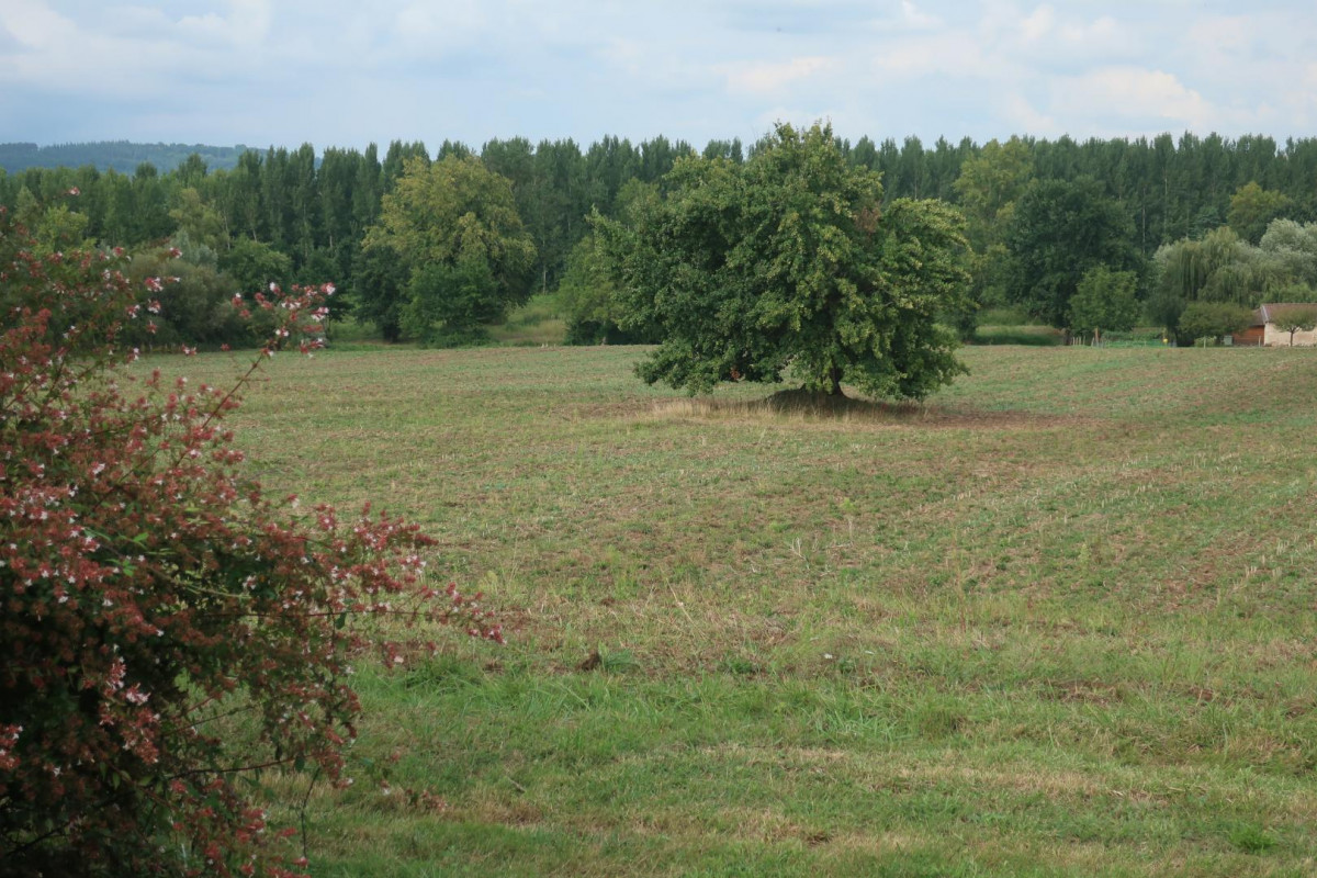 Gîte Bellevue, Sainte-Colombe-en-Bruilhois - photo 9