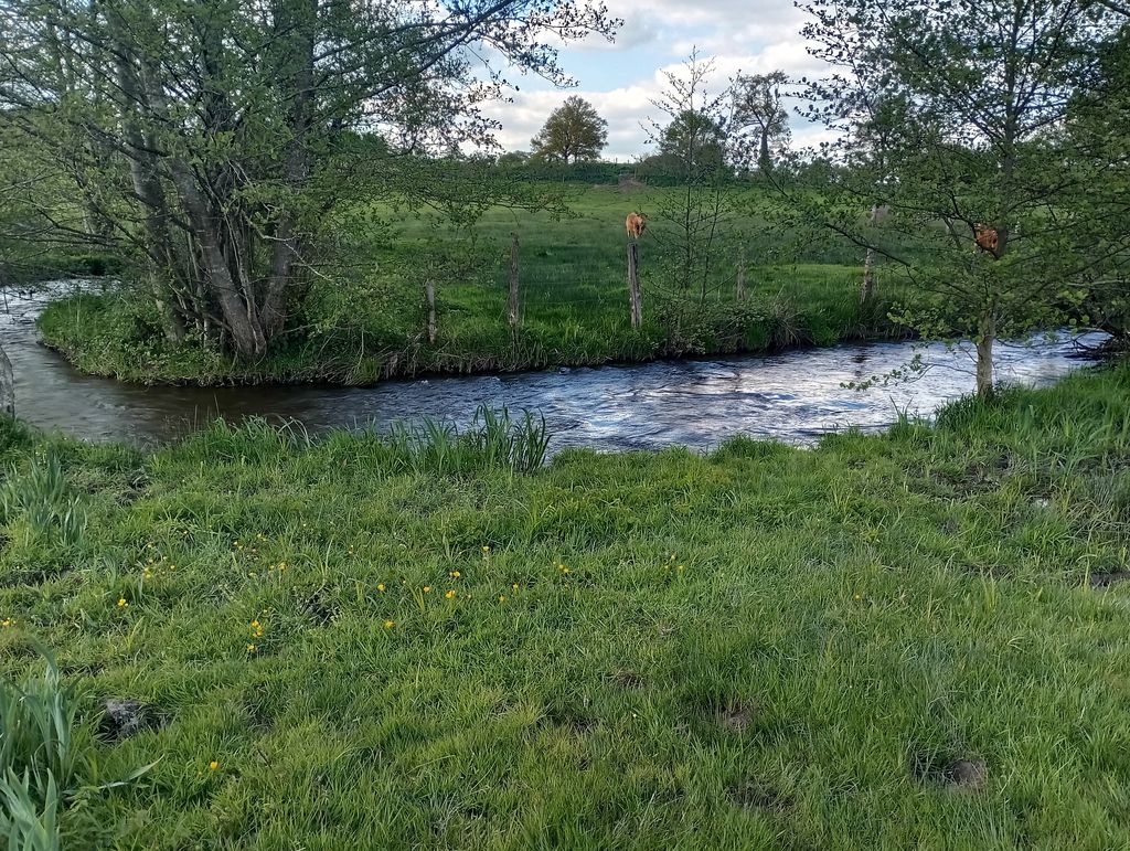 LE CHANT DU MERLE, Le Grand-Bourg - photo 17