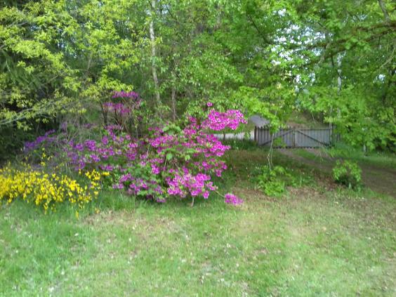 Manoir le Goumoueix — photo 3