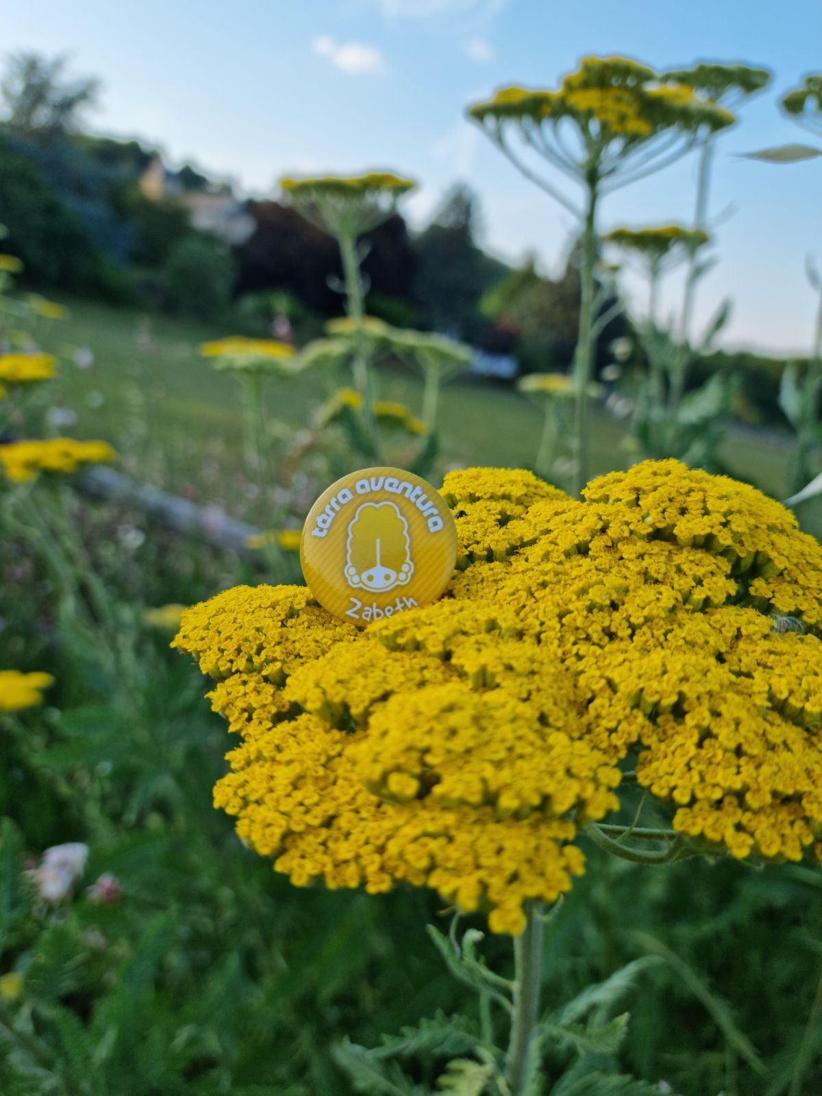 Tèrra Aventura : Queaux-ce que c'est que ce grabuge ?