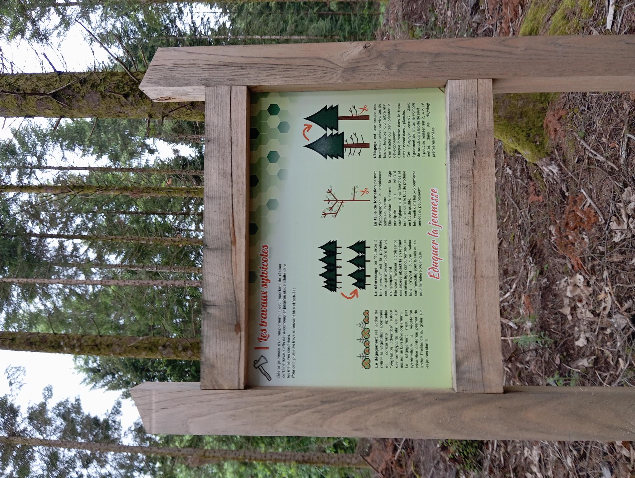 En sentier, la forêt se présente, Neuvic