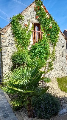 L'Huilerie, Pleumartin - photo 15
