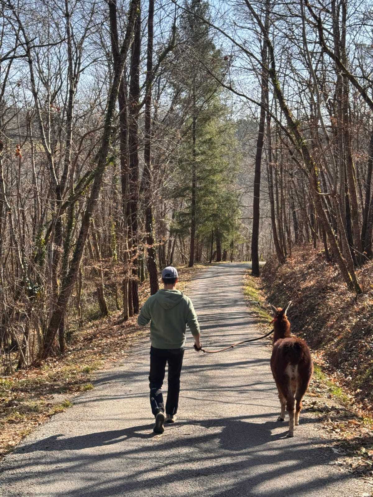 Ferme des Lamanes - photo 3
