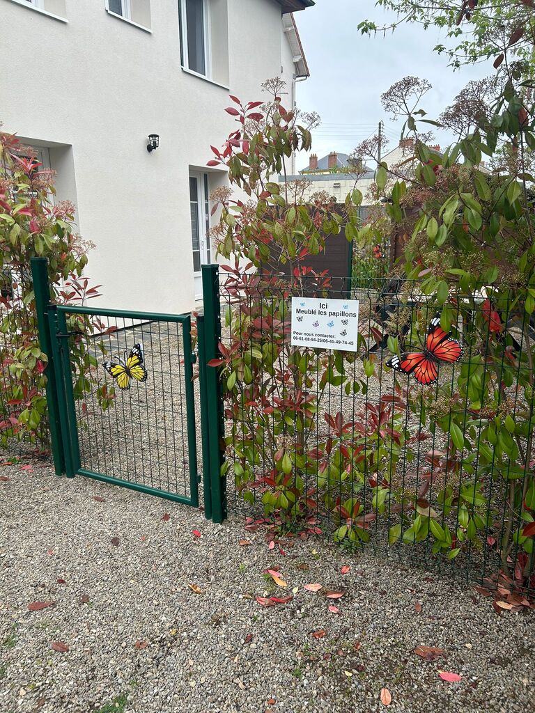 Meublés Les Papillons — photo 2