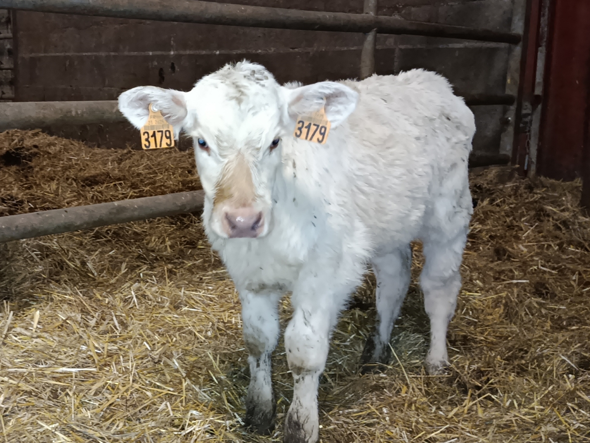 Ferme Pédagogique du Grand Chêne