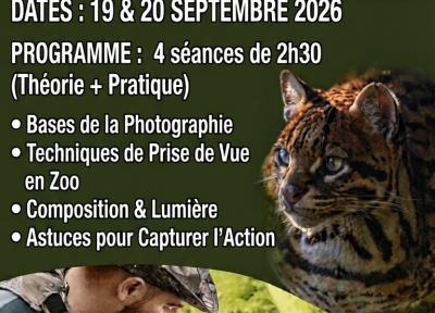 Cours gratuit de photographie animalière