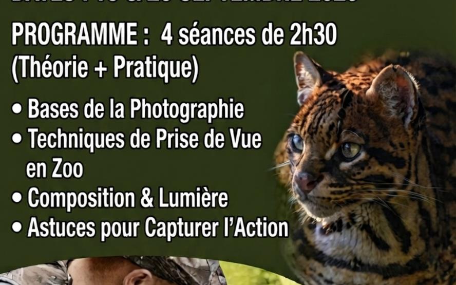 Image de présentation du lieu