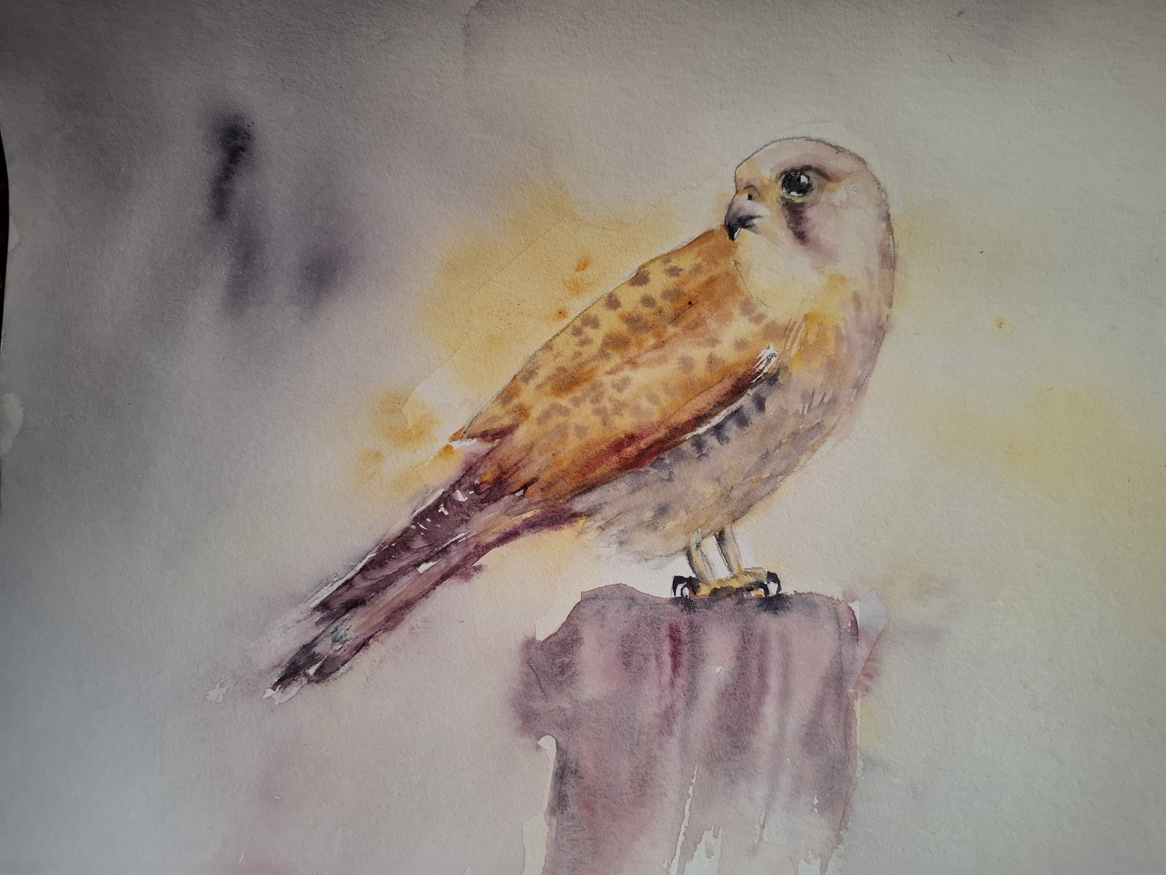 Exposition d'aquarelles de Marie Thérèse Lasserre