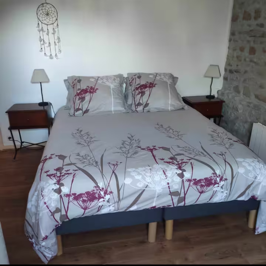 La maison bleue - photo 4