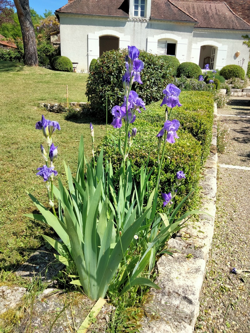 Chambres d'hôtes Clos La Roche Fleurie, Azerat - photo 13