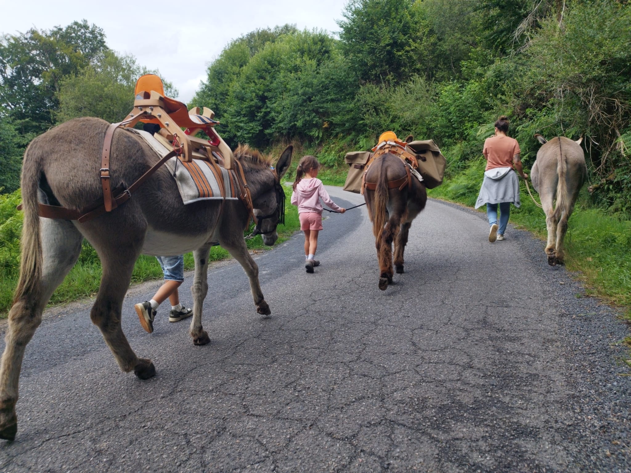 Les âneries du Soulier