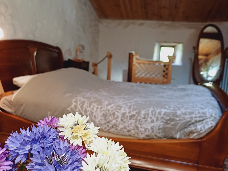 Vauguenige, Saint-Pardoux-le-Lac - photo 4