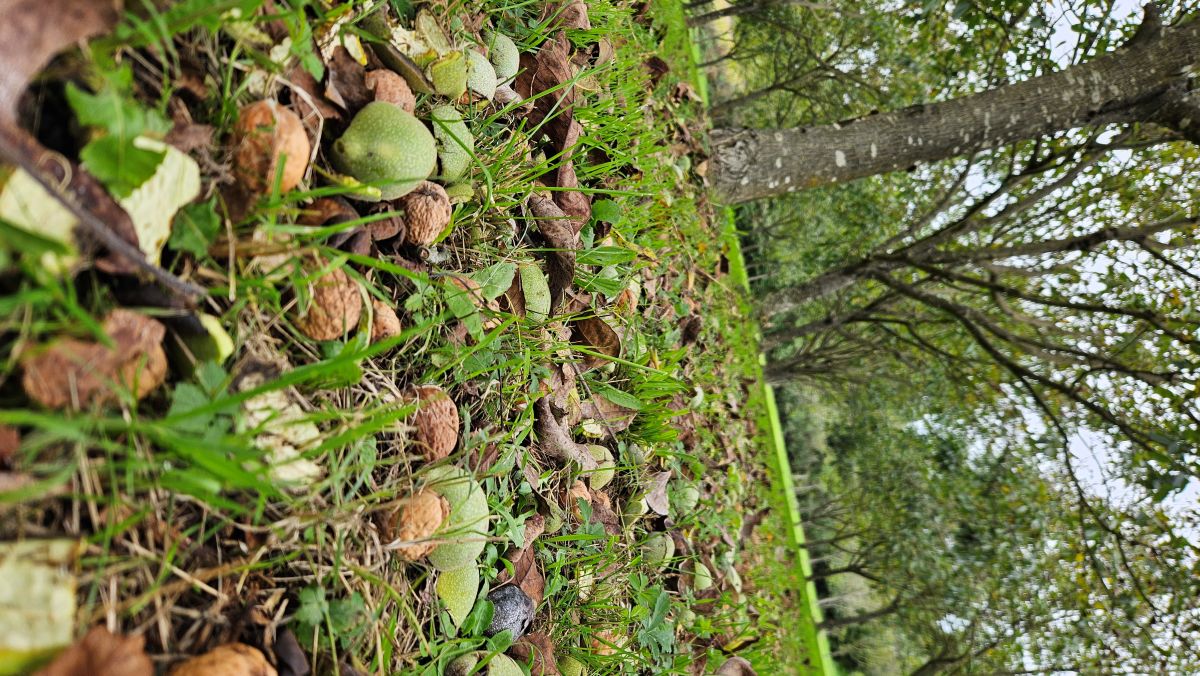 Domaine de Peyrignolles — photo 2