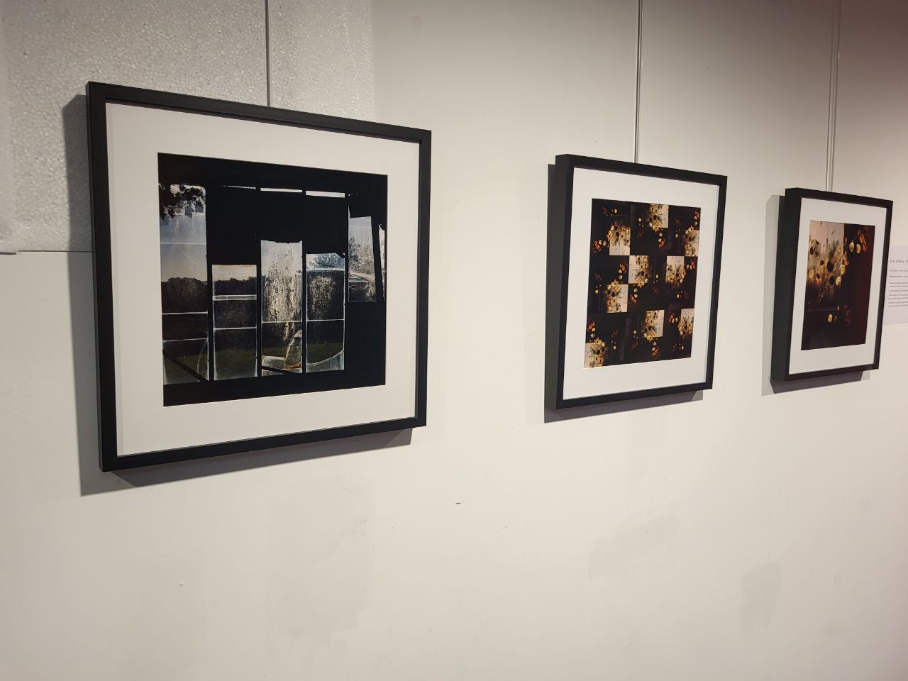 Exposition "Invisibles métamorphoses"