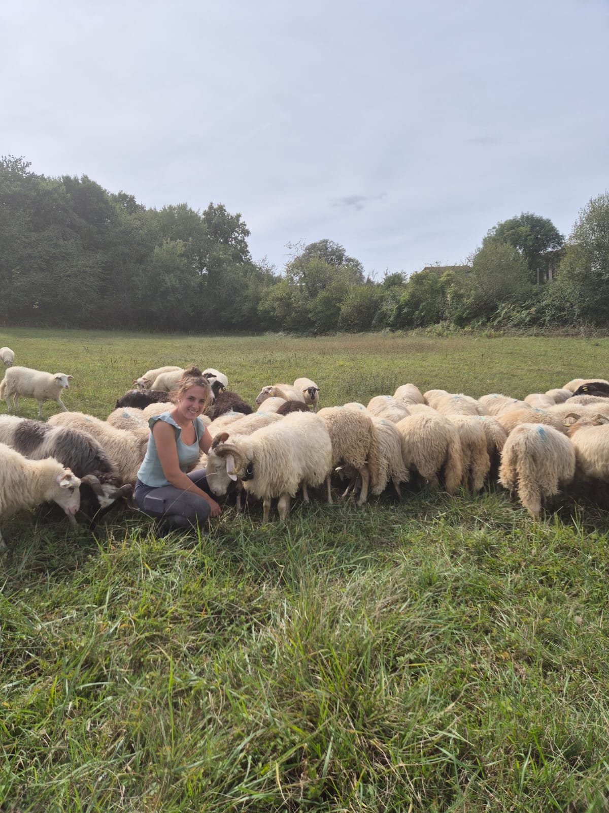 La Ferme de Juliette — photo 3