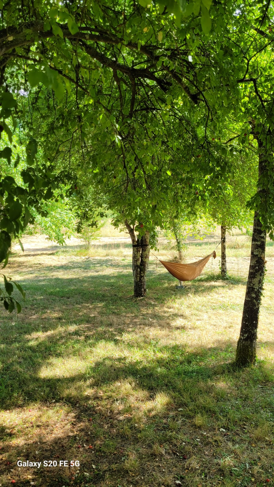 Camping Le Sorbier - photo 3