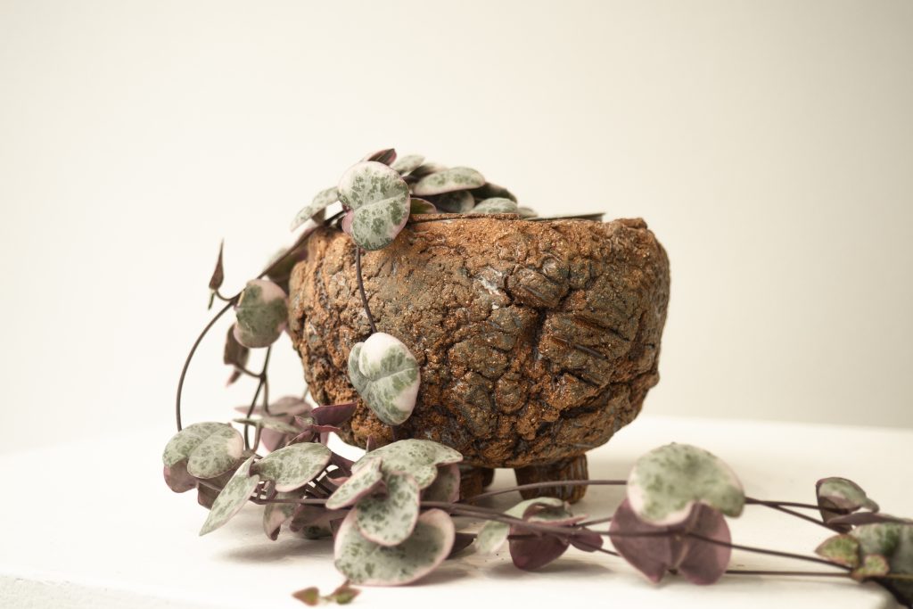 Poterie L'Atelier du Chemin des Prés