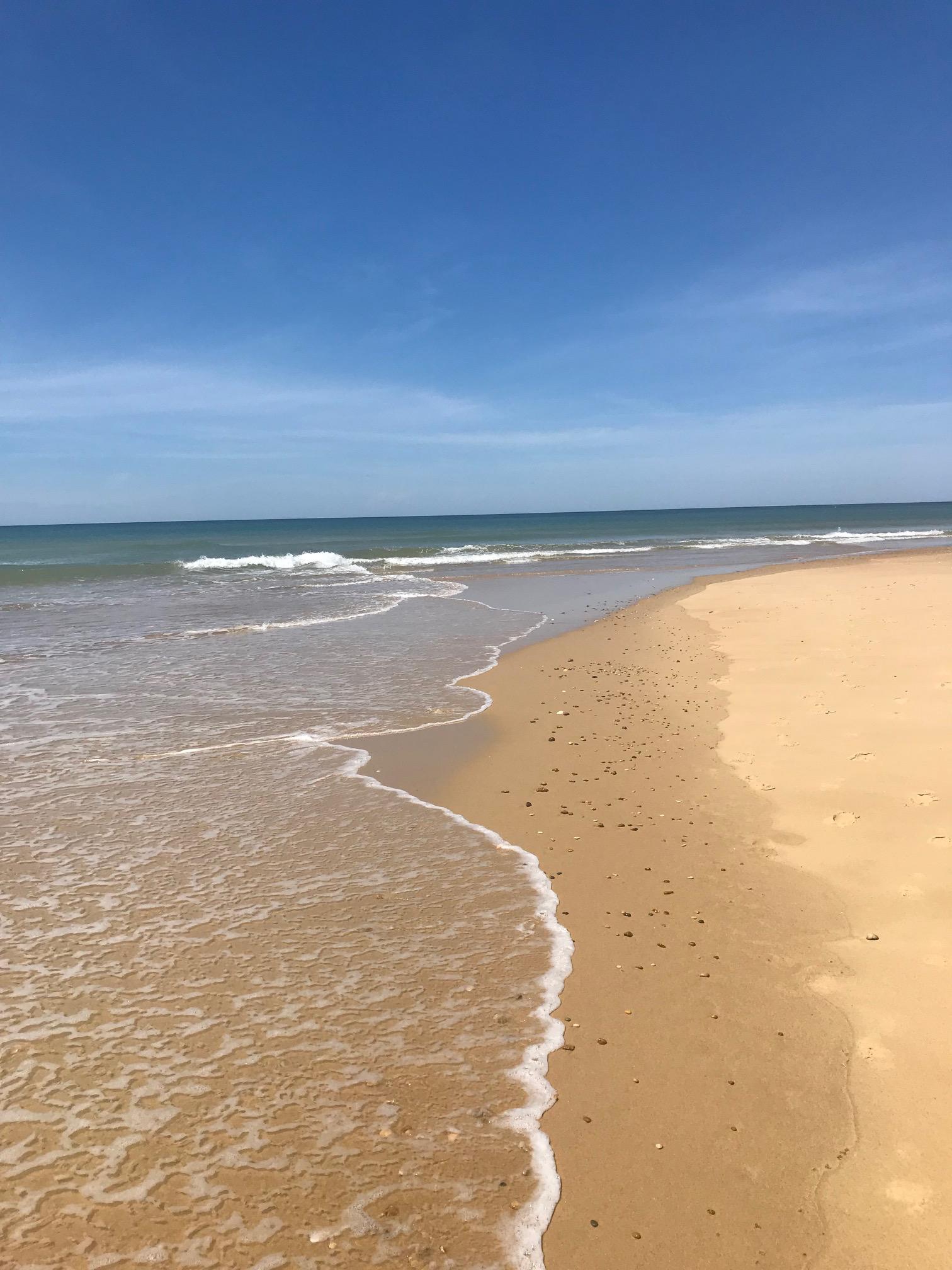 L'Escale Océane, Moliets-et-Maa - photo 8