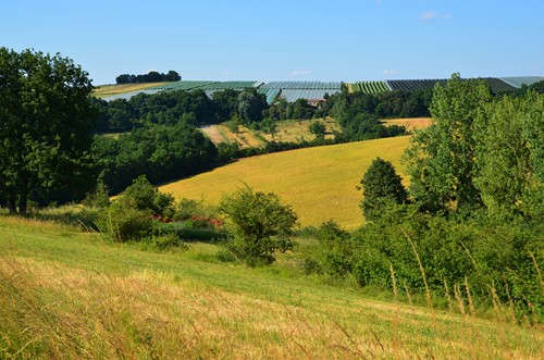Coteaux du Lot et de la Garonne, Clermont-Dessous