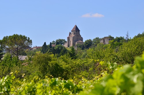 Coteaux du Lot et de la Garonne, Clermont-Dessous - photo 5